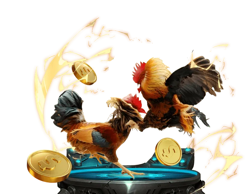 Cá cược thể thao khin789