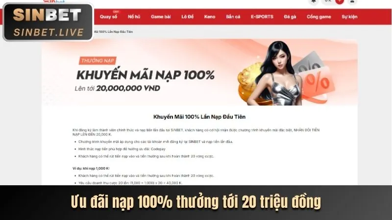 Hình ảnh phân loại các loại cookie khác nhau và chức năng của chúng trên trang web khin789.